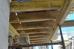 66250699_357000641658257_7462968665684574208_n